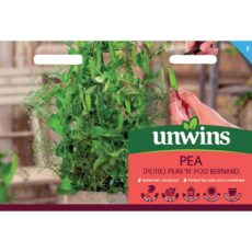5023377033483 1 Unwins Pea Bernard Seeds.jpg